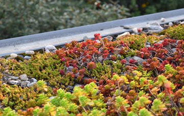 the cost of Walpole St Andrew green roof installation