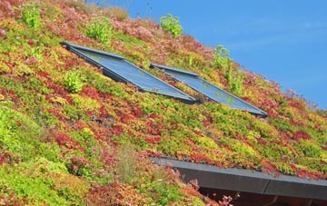 Walpole St Andrew living roof systems