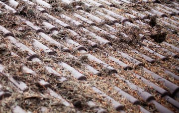 Walpole St Andrew roof cleaning companies